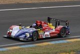 Oreca AIM N°11