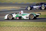 24h du mans 2003 Reynard N°14